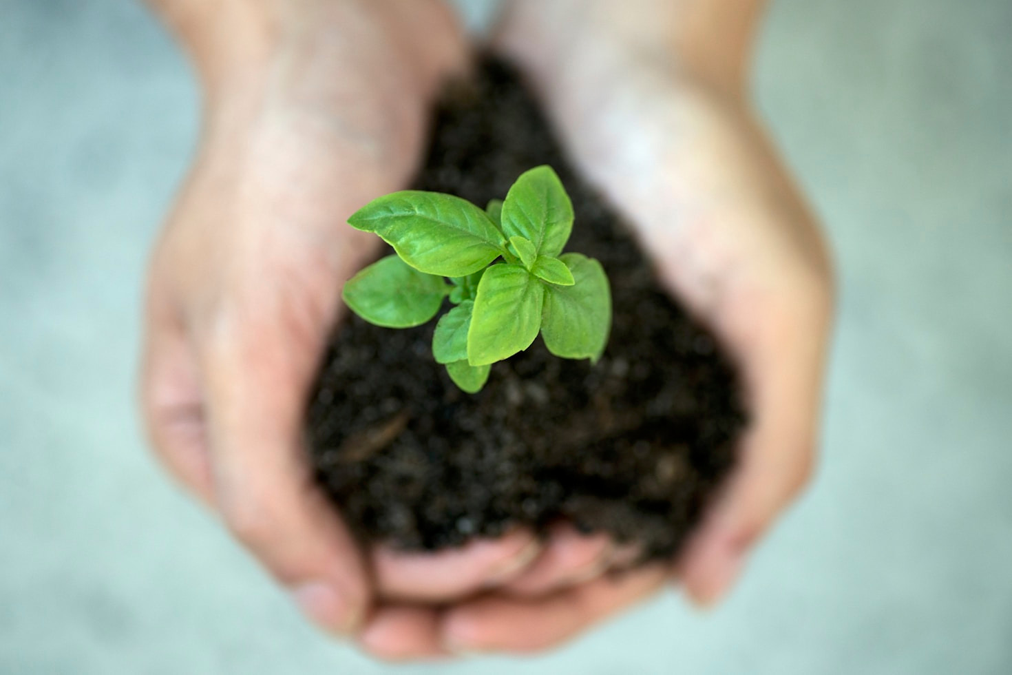 Warum Erwachsene von Naturerlebnissen profitieren