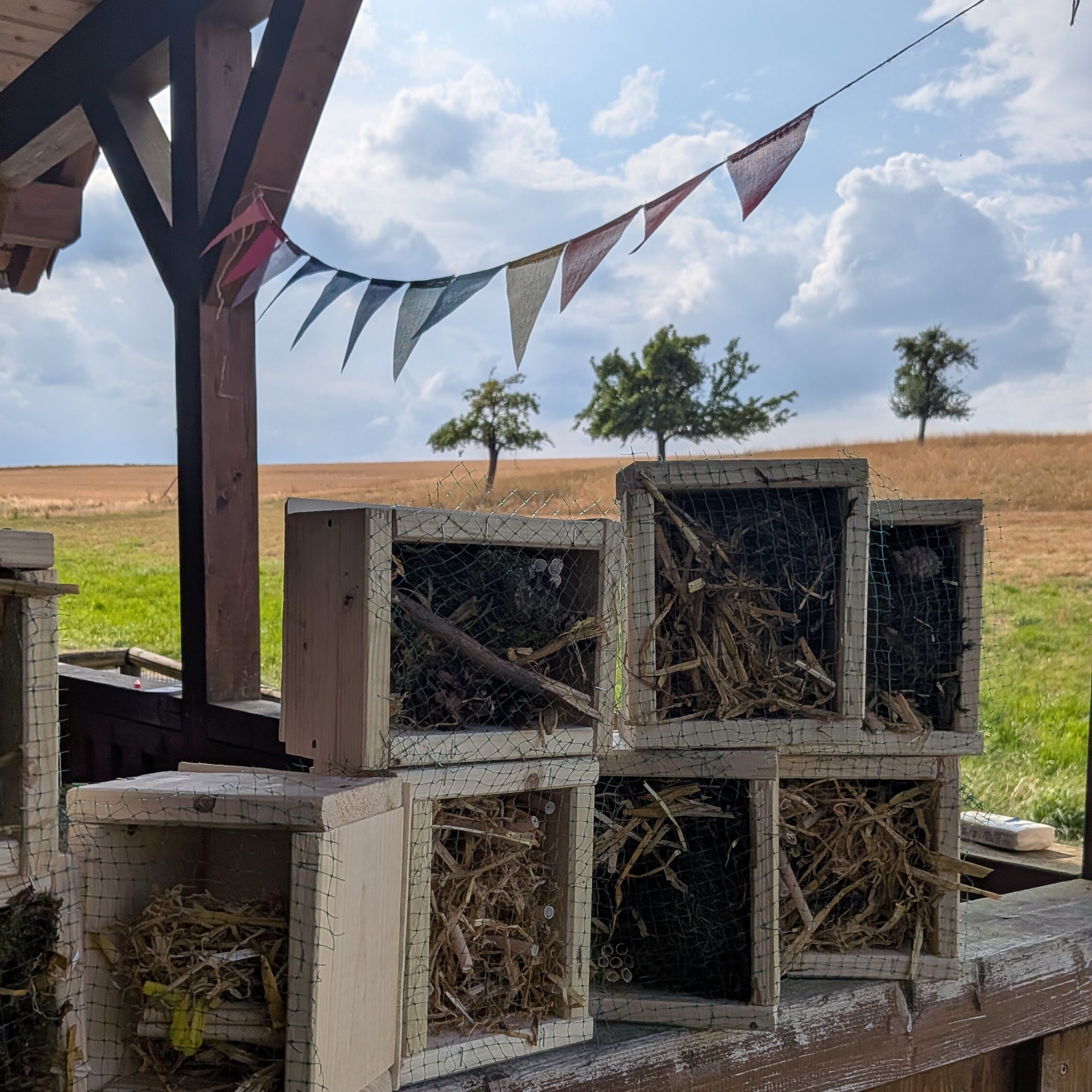 Naturgelände für Kindergeburtstage in Wehrheim im Taunus